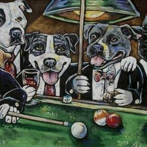 Meet your Posher, Danny